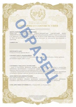 Образец Сертификат СТО 01.064.00220722.2-2020 Саки Сертификат СТО 01.064.00220722.2-2020 